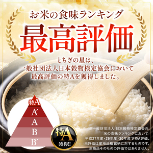 【2026年先行予約】ごはんが主役！矢板市産とちぎの星 白米 3kg お米 栃木県 矢板市