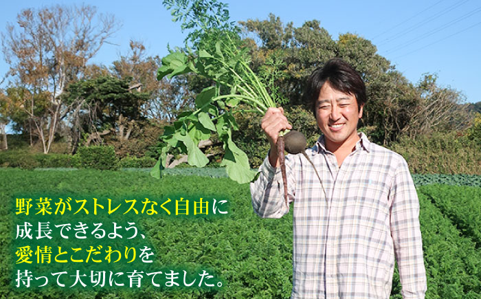 【全3回定期便】すずなり採れたて野菜BOX　(5～7品） 野菜  やさい 詰め合わせ 詰合せ 【鈴也ファーム】 [AKCE011]