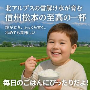 上高地清流米 こしひかり 松本産 白米 600g （2合300g×2袋 )