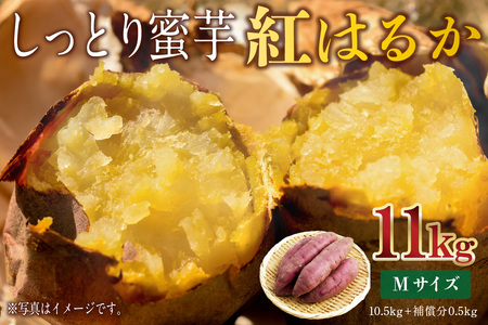 さつまいも　紅はるか　Mサイズ　11kg mi0084-0008-6