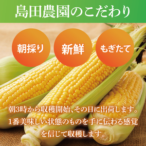 【先行予約 6月下旬から順次配送】トウモロコシ6本入　黄6入【新鮮 野菜 甘い とうもろこし 玉蜀黍 茨城県 阿見町産】(73-01)