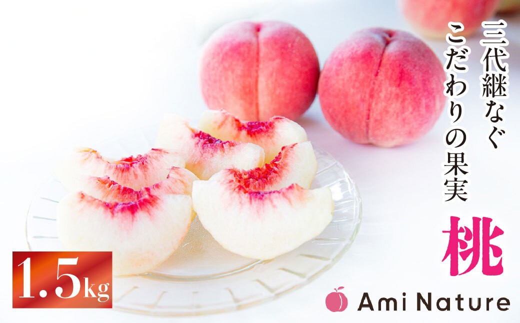 
                  やまなし旬の果実 笛吹の朝採り桃1.5kg 065-017-oya｜ 桃 発送 アミナチュール 山梨 笛吹市 一宮町 山梨県 桃 ピーチ 果物 フルーツ 人気  新鮮 旬 発送 固い 国産 贈答 ギフト くだもの もも 笛吹市 桃 もも 山梨県笛吹市 果物 ピーチ  化粧箱入り 化粧箱 山梨県 モモ 先行 山梨県笛吹市 1.5kg 3代目 大玉|
                