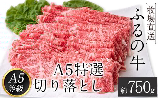 ふるの牛（黒毛和牛）Ａ５特選 切り落とし 750g A5 ミシュラン掲載《30日以内に出荷予定(土日祝除く)》---skr_ffrnkrot_30d_r7_21000_750g---