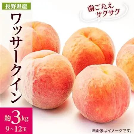 【2025年発送】フルーツ王国　長野県信州直送　ワッサークイン　約3kg(9～12玉)【配送不可地域：離島】【1530502】