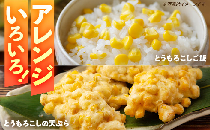 朝採れ スイートコーン 5kg（12-15本入り）とうもろこし ＜ちくし農園＞那珂川市 [GDU001]