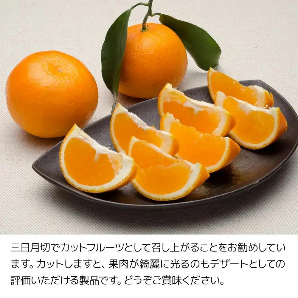 みかんサンセレブ約3kg みかん