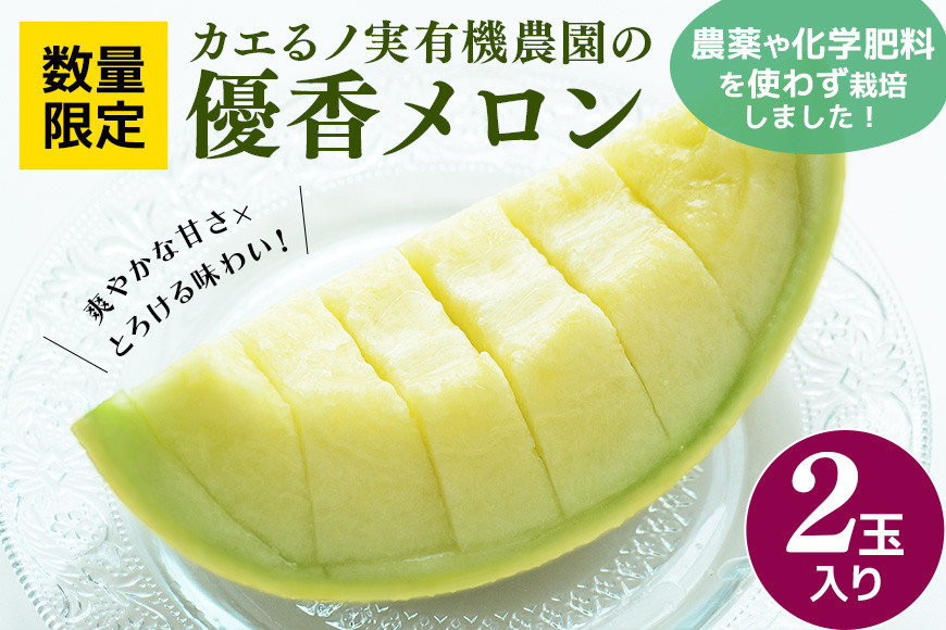 
                  【先行予約/5月下旬から発送】カエるノ実有機農園 優香メロン 2玉 (2.0～2.5kg) 数量限定 メロン 希少 品種 芳醇 香り 甘い 肉厚 やわらか ジューシー 有機 化学肥料 農薬 不使用 果物 くだもの フルーツ デザート 国産 茨城 笠間
                