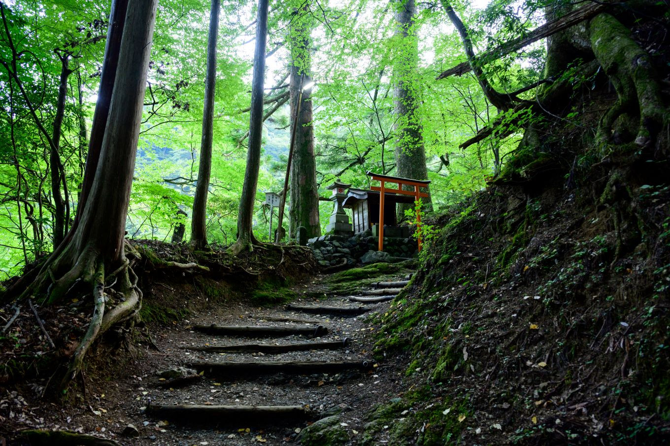 
囲炉裏付き古民家に泊まり、登山ガイドと霊峰・七面山に登ろう！（宿泊体験チケット2名様分）
