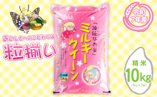 【6月発送】精米 ミルキークイーン 10kg 茨城県下妻市産 【 お米 米 白米 ご飯 こめ ミルキークイーン 令和7年産 茨城県産 】