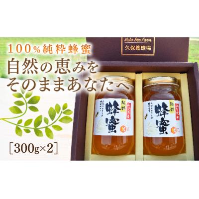 ふるさと納税 山口市 純粋蜂蜜 E013