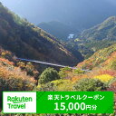 【ふるさと納税】熊本県水上村の対象施設で使える楽天トラベルクーポン 寄付額50,000円