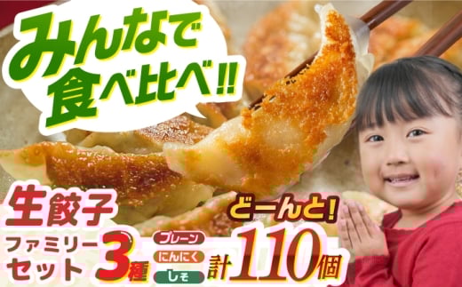餃子 食べ比べ生！ファミリーセット(110個入り) ぎょうざ ギョーザ 冷凍 生餃子 国産肉 国産野菜 和風だし 旨味 しそ 生姜 青唐辛子 3種 詰め合わせ セット パリパリ モチモチ 皮 にんにく控えめ 簡単調理 おかず おつまみ パーティー ギフト プレゼント 贈り物 贈答 お返し 内祝い お祝い おすすめ 人気 大容量 岐阜市 / ドルフィン株式会社 [ANHL006]