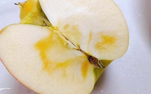 りんご 大玉 11～16個 5kg ＜有我果樹園＞ F7X-0235