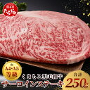 【ふるさと納税】≪ A4～ A5 等級 ≫ くまもと 黒毛和牛 サーロインステーキ 250g ブランド 牛肉 肉 サーロイン ステーキ 250g×1枚 ご馳走 ご褒美 和牛 国産 熊本県 上級 上質 お肉 冷凍 お取り寄せ グルメ マラソン スーパーセール 九州産 熊本県産 送料無料