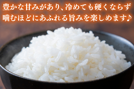 AU023　山﨑観光農園のお米　とちぎの星　白米6kg　精米　ごはん　米