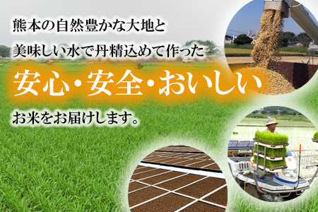 令和7年産 森のくまさん 5kg 株式会社羽根《60日以内に出荷予定(土日祝除く)》熊本県産 白米 精米 森くま もりくま 米