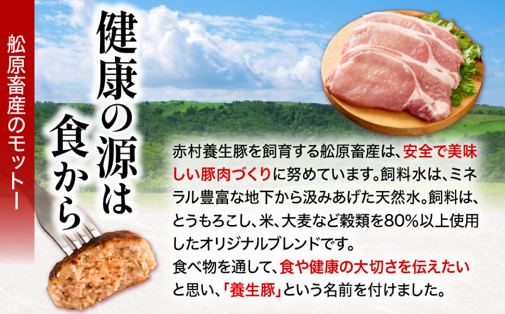 赤村養生館 特製手ごねハンバーグ 4個 B23