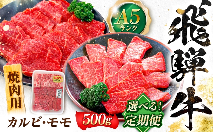 
                  【選べる定期便回数】飛騨牛 A5等級 焼肉用 カルビ・モモ 500g 牛肉 肉 お肉 焼き肉 BBQ 岐阜市 / 肉の松久 [ANIP027]
                