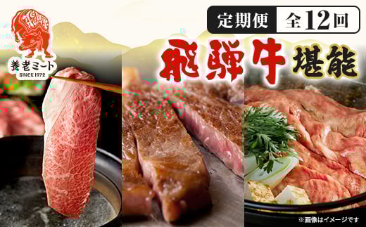 
            ＜毎月定期便＞月替わりで色々な飛騨牛を楽しめる全12回_ 飛騨牛 牛肉 定期便 肉 黒毛和牛 国産牛 ブランド牛 霜降り ステーキ すきやき すき焼き しゃぶしゃぶ 切り落とし 切り落し 焼肉 BBQ ギフト プレゼント 自宅用 【4051412】
          