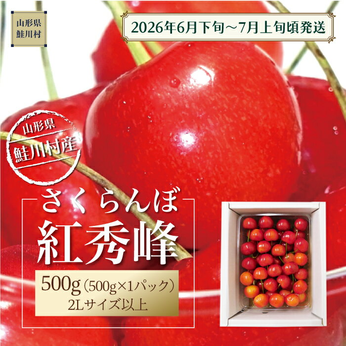 【ふるさと納税】【令和8年産 早期受付】 鮭川村産さくらんぼ ＜紅秀峰＞ 特秀2Lサイズ以上バラ詰め 500g