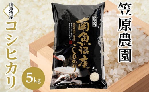 【令和6年産】南魚沼産コシヒカリ5kg【米 お米 こしひかり 南魚沼 米 白米 こめ 新潟 米 】