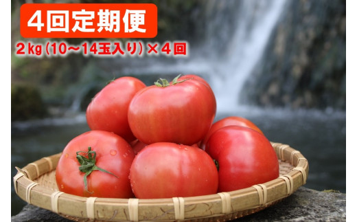 ひとつひとつが、しっかりとして肉厚です。