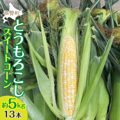 ＜2025年8月上旬よりお届け＞北海道壮瞥産 とうもろこし（スイートコーン）13本 約5kg SBTN001