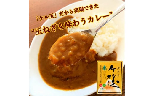 広瀬青果の淡路島のケル玉カレーとフライドオニオンセット