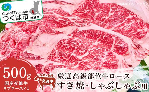 
厳選高級部位牛ロース(すき焼き・しゃぶしゃぶ用)500g＜離島・沖縄配送不可＞【 牛肉 牛 国産 リブロース すきやき スキヤキ 茨城県 つくば市 】
