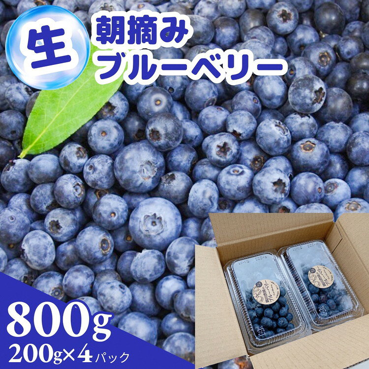 【ふるさと納税】【訳あり】朝摘み ブルーベリー 生果実 800g（200g×4パック）【小粒・中粒 ふぞろい】栽培期間中農薬不使用 旬 果実 新鮮 フルーツ ※2026年8月～発送＜すだ農園＞京都 亀岡