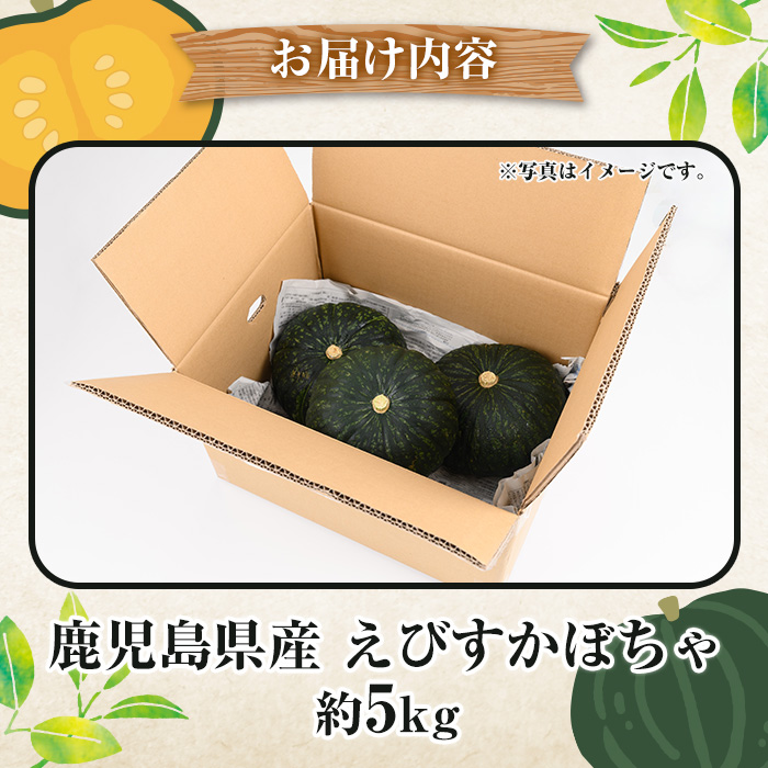 ＜2025年5月以降発送予定＞鹿児島県産 えびすかぼちゃ(約5kg) 国産 野菜 かぼちゃ カボチャ 南瓜 煮物 天ぷら バーベキュー BBQ スイーツ お菓子 期間限定【松永青果】a-12-282