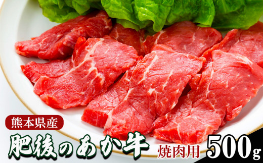 
肥後の あか牛 焼肉用 500g
