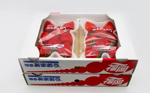 博多あまおう4パック（冬） 250g～270g×4パック 合計約1000g～1080g あまおう いちご 苺 イチゴ フルーツ 果物 くだもの【2026年12月上旬-2027年1月下旬発送予定】
