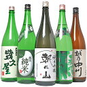 【ふるさと納税】日本酒 一升 飲み比べ 1.8L 新潟 C1-92越後銘門酒会 日本酒福袋（1800ml×5本）