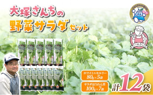 
                  ホワイトミニセルリー 5袋 ＆ サラダほうれん草 7袋 計12袋セット 野菜 詰め合わせ セロリ ミニセロリ ほうれんそう 新鮮 産地直送 野菜セット 食べ比べ 詰合せ 業務用 大容量 まとめ買い
                