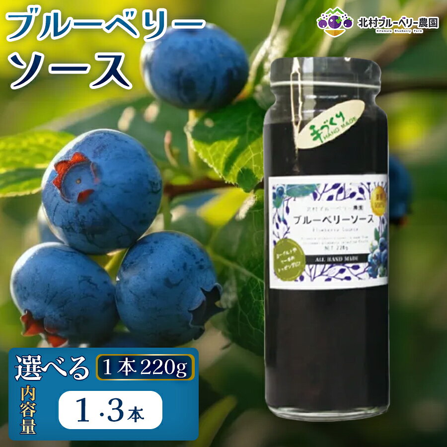 【ふるさと納税】 ブルーベリーソース 220g 選べる 数量 1本 or 3本 無添加 手作り フルーツソース 果実 さっぱり 冷蔵 宮城県 宮城 石巻市 石巻