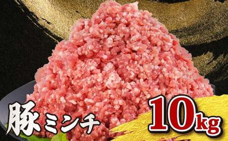 ミンチ 豚肉 10kg 豚ミンチ 【 ミンチ 】