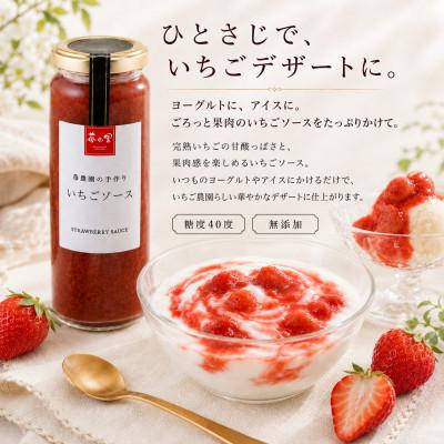 ふるさと納税 毛呂山町 苺の里　いちごソース　180g×1本 |  | 01