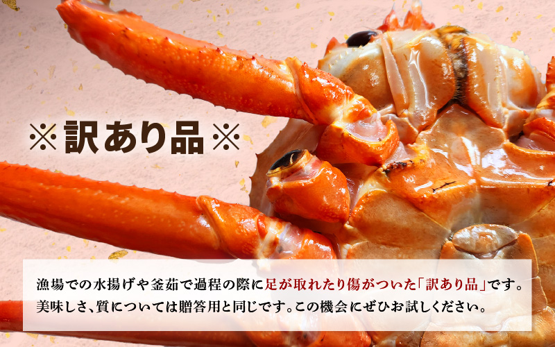 【訳あり】≪浜茹で≫越前産 紅ずわいがに × 1杯（生で約880g～1kg）【紅ズワイガニ カニ かに 蟹】【紅ずわいがに】【11月発送分】 [e80-x001【】11]