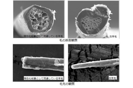 最高級 化粧筆 古羊毛 花 会津塗はなぬり チークブラシ