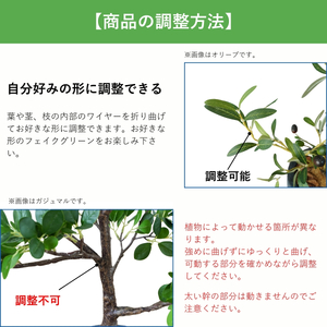 フェイクグリーン Botanical life+ Dシリーズ ラメリー 110cm 光触媒加工 鉢付き インテリア 抗菌 消臭 愛知県 豊橋市 送料無料 52000円