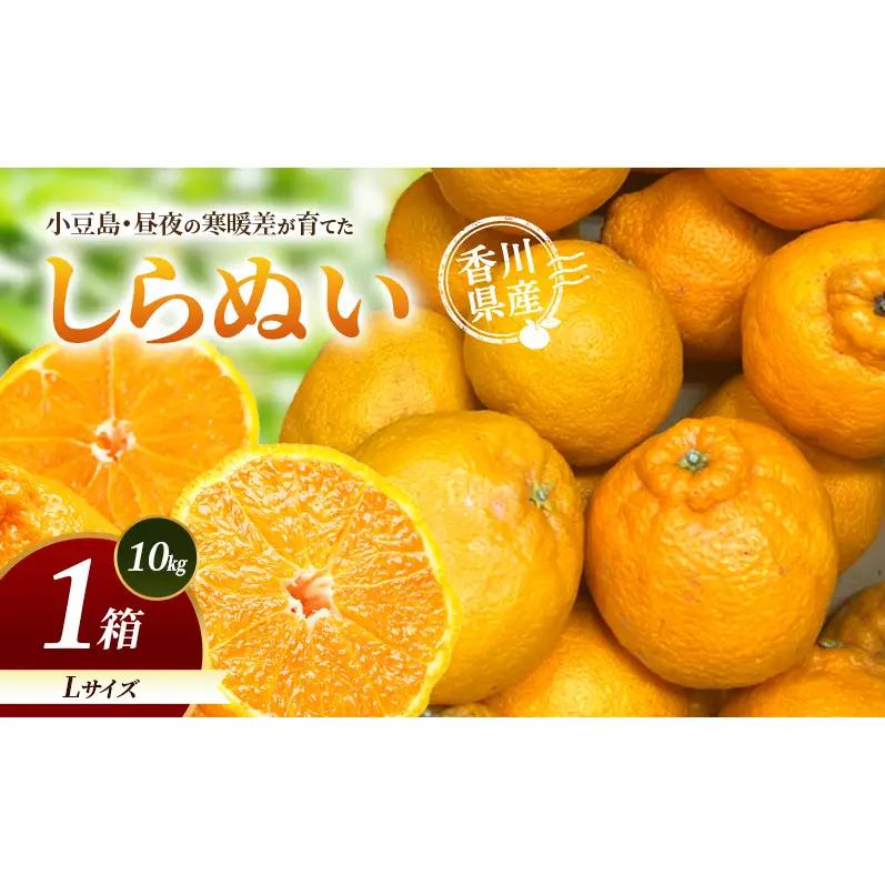 小豆島・昼夜の寒暖差が育てたしらぬい L 1箱(10kg) しらぬい 不知火 柑橘 フルーツ 果物 くだもの 香川 香川県 土庄 土庄町
