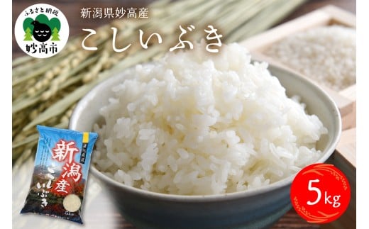 【2026年7月上旬発送】令和7年産 新潟県妙高産こしいぶき5kg