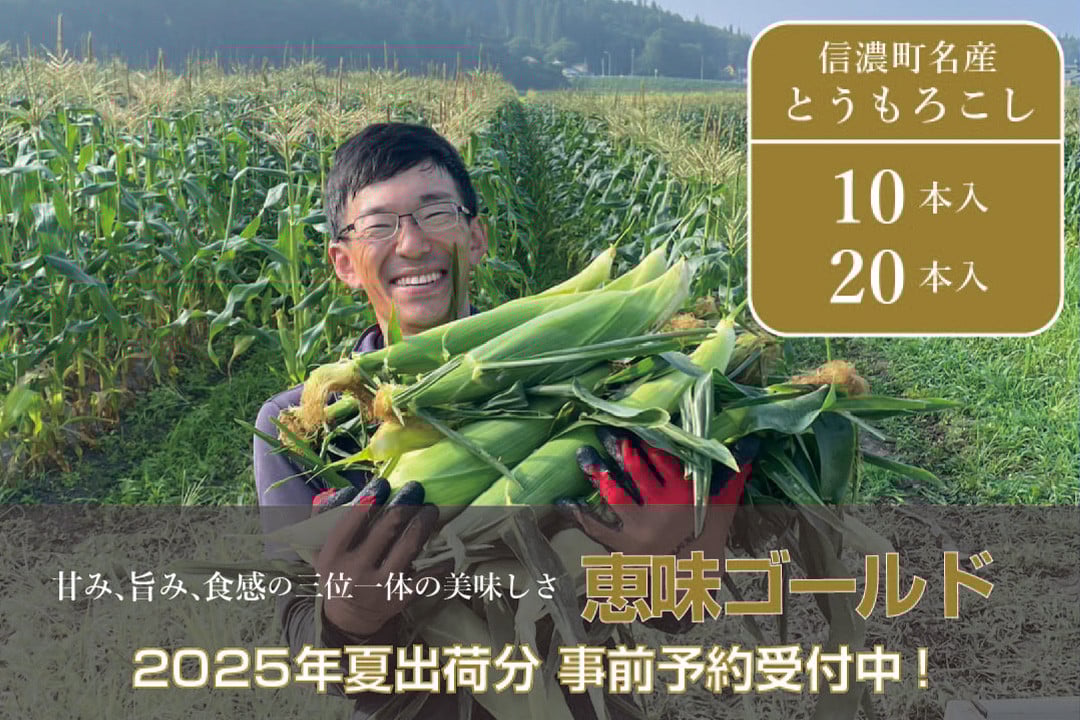
            落影農場『恵味（めぐみ） 10本セット / 20本セット』2025年夏出荷分の予約受付開始！ 信濃町名産スイートコーンの人気品種を早期予約限定で受付中！ 令和7年7月下旬～8月出荷予定 朝採れのとうもろこしを生産者から直送【長野県信濃町】
          