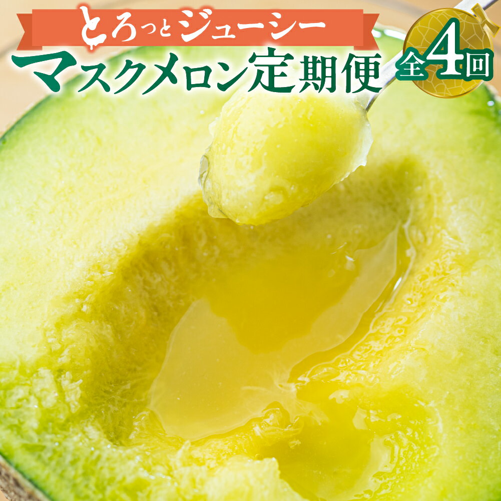 【ふるさと納税】【定期便】先行予約 マスクメロン 4回 伊良湖産 2玉 2025年6月スタート 箱詰め メロン フルーツ 果物 お中元 お取り寄せ ギフト 渥美半島 田原市 マルカ農園 産地直送 送料無料 ド甘い