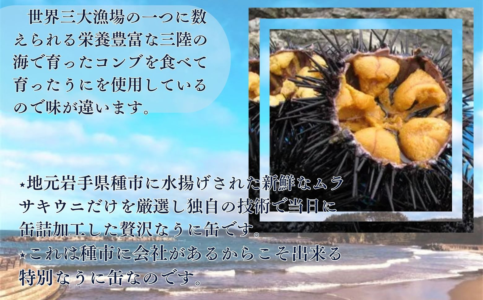 良質な昆布などの海藻を食べて育ったウニを使用
