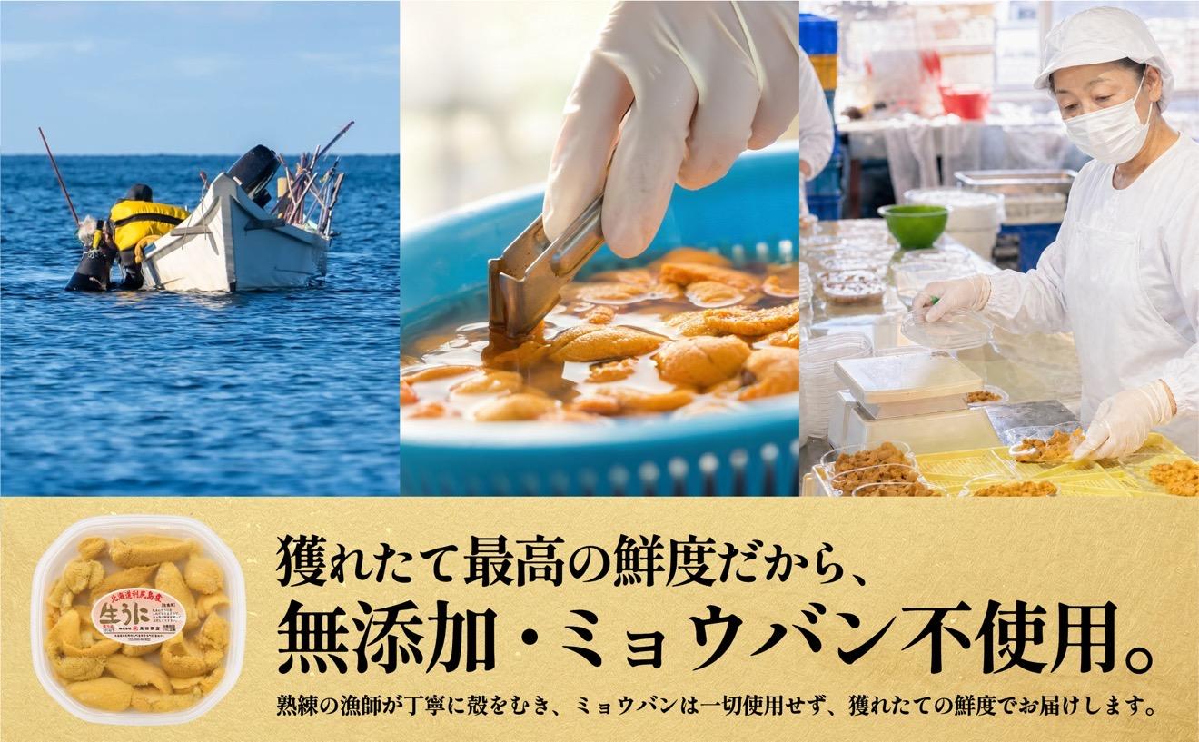【2026年発送受付】利尻島産 天然塩水生うに170g (85g×2)【2026年7～8月発送分】｜北海道 天然 朝獲れ 無添加 ミョウバン不使用 ムラサキウニ [1030035] 塩水ムラサキウニ 