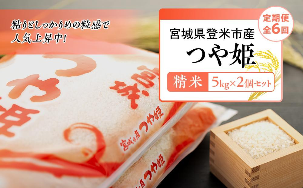 
令和5年産【定期便／全6回】宮城県登米市産つや姫精米　５kg×２個セット
