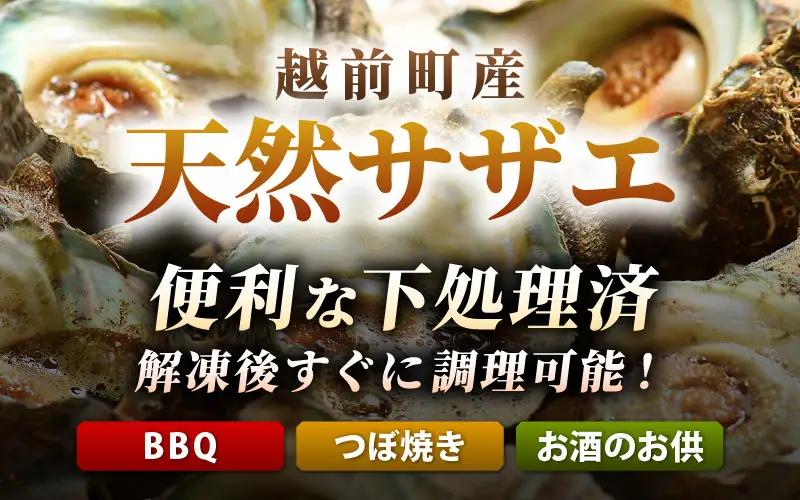 【先行予約】越前町産 天然 サザエ 1kg （500g×2袋）【2026年6月中旬より順次発送】【サザエ 海鮮】 [e15-a065]