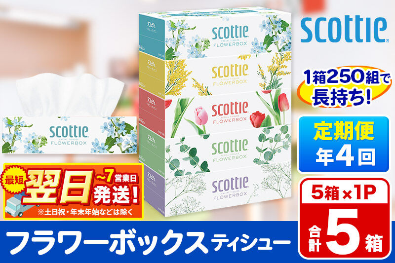 《3ヶ月ごとに4回お届け》定期便 ティッシュペーパー スコッティ ティシュー フラワーボックス 250組 5箱パック×1パック 秋田市オリジナル 最短翌日発送 [ティッシュ ボックスティッシュ]